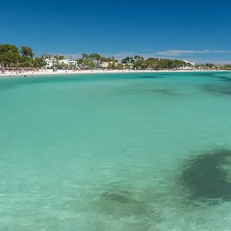 Daire Bonito Y Relajante En Puerto Alcudia (Mallorca)